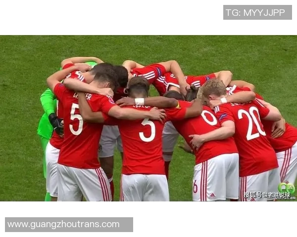 威尔士与斯洛伐克精彩对决视频回顾与分析