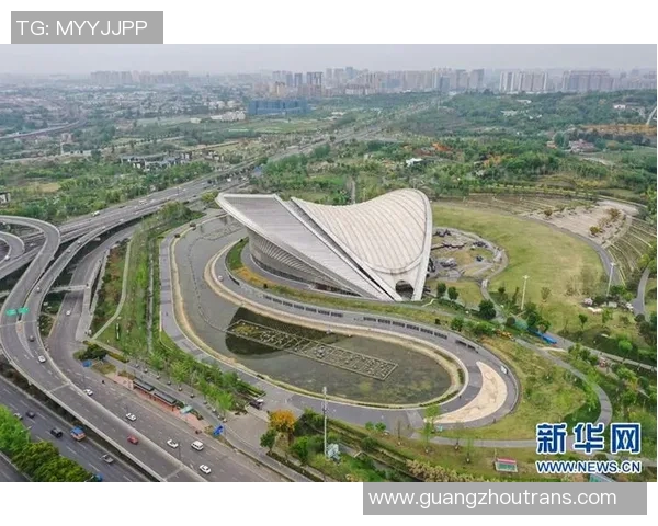 加克波在足球赛场的崛起与未来发展潜力分析